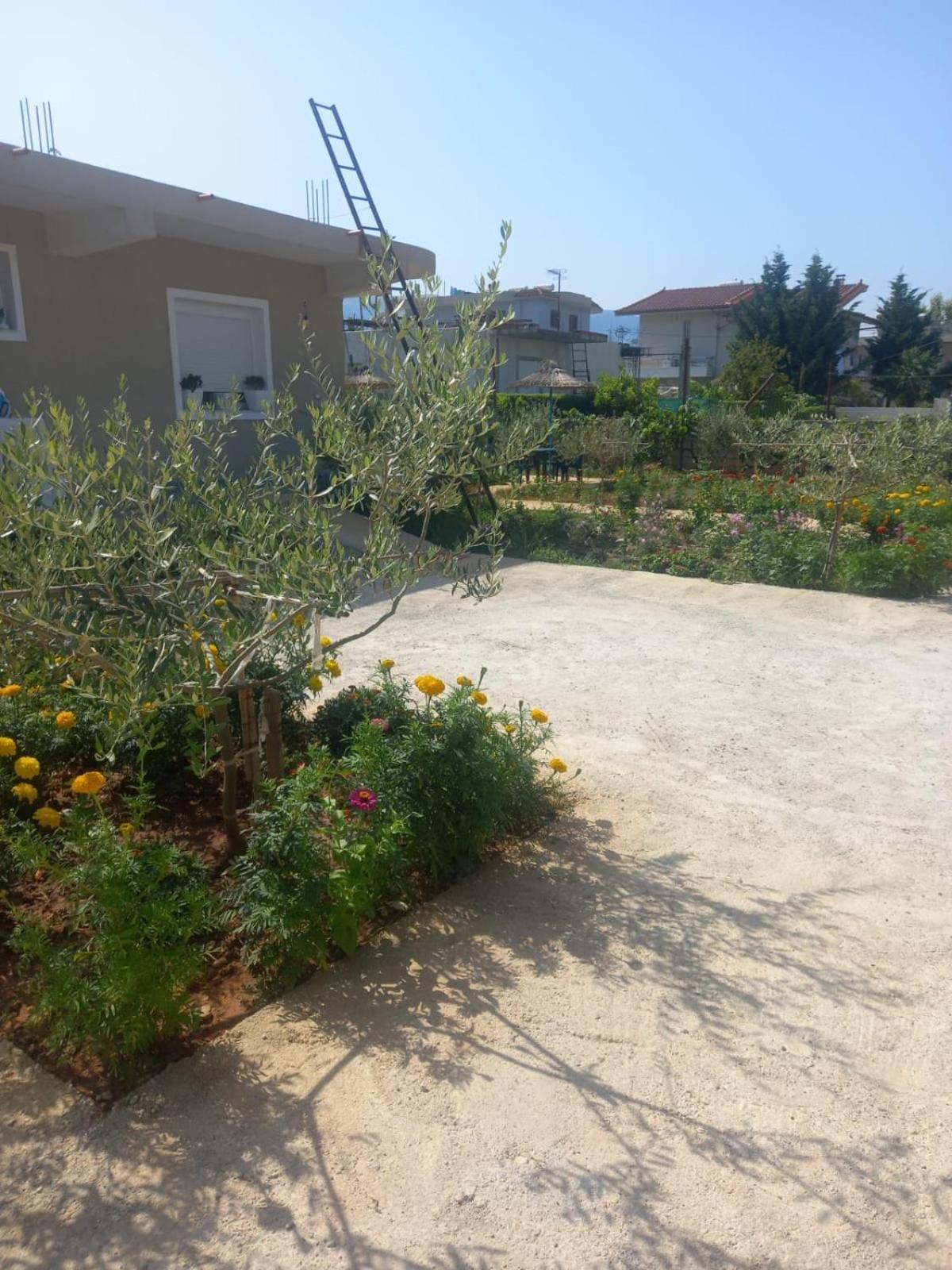 Rey Garden 2 Hotel Vlore Exterior photo