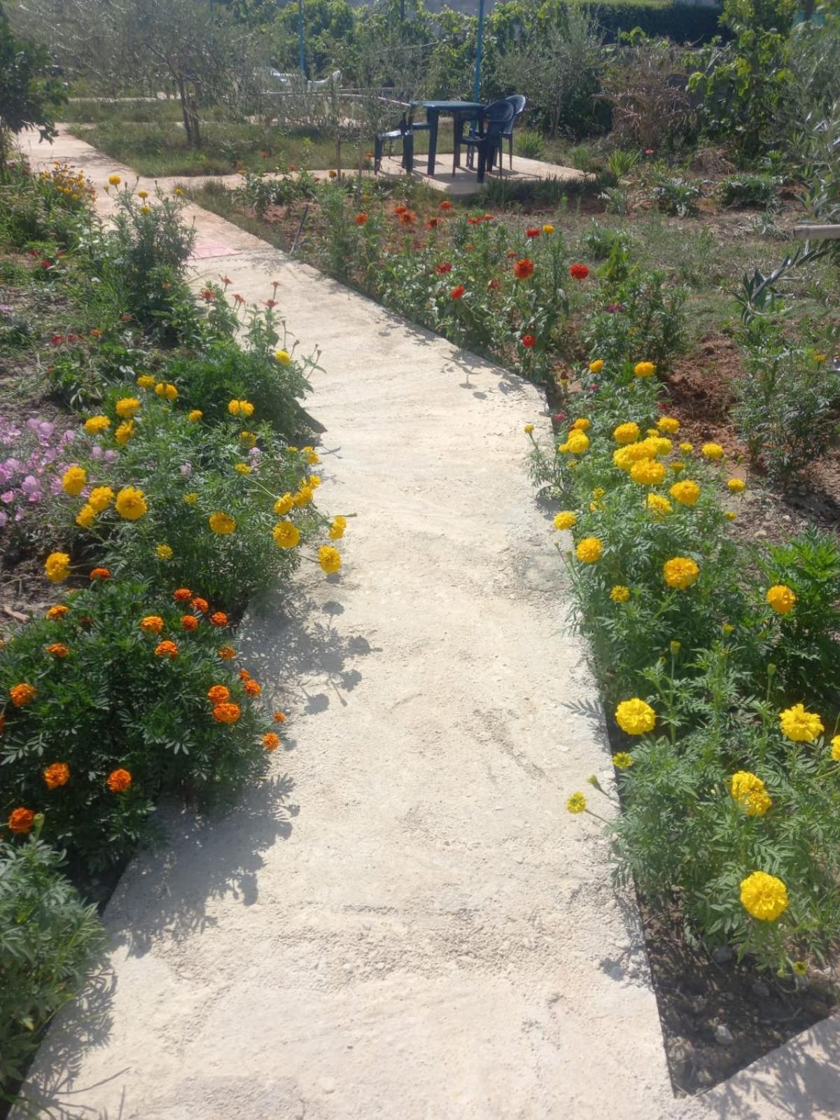 Rey Garden 2 Hotel Vlore Exterior photo